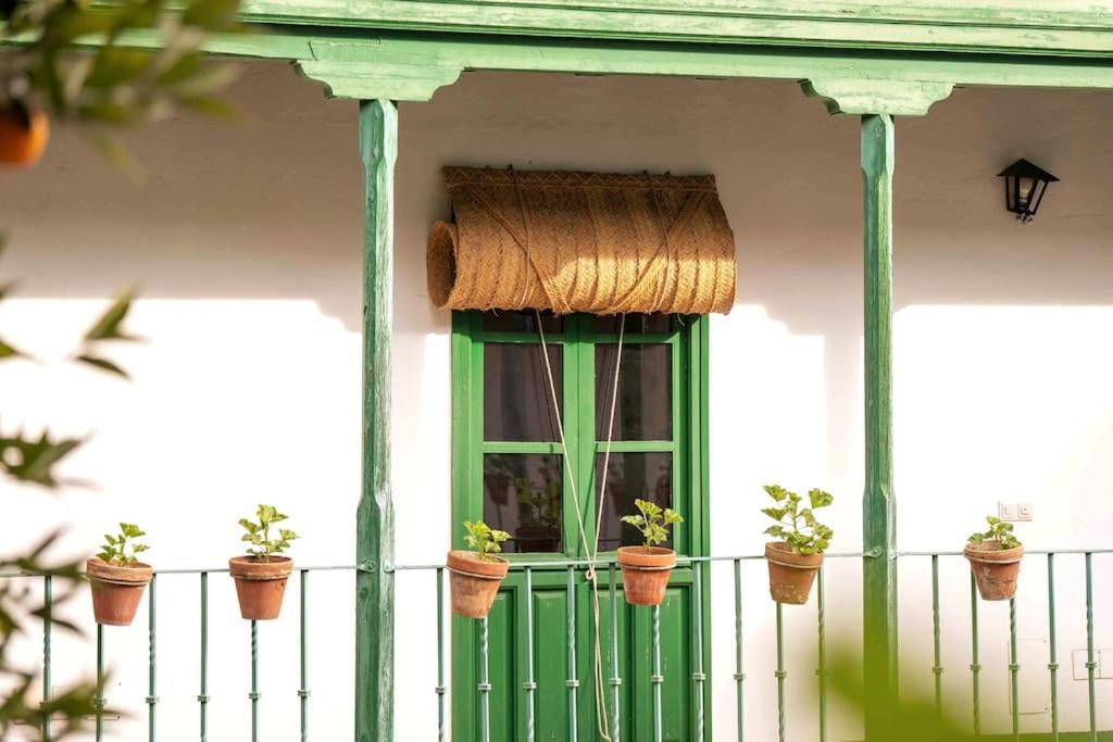 Apartamento A Estrenar En Calle Alcazares Seville Ngoại thất bức ảnh